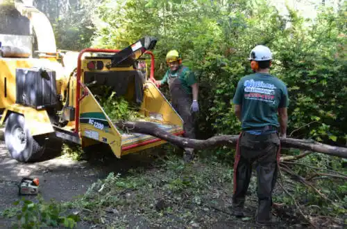 tree services Pecatonica